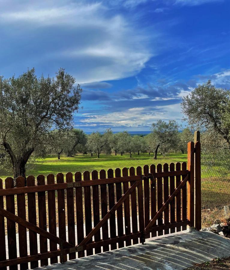 Agriturismo Podere Campalto Campiglia Marittima Esterno foto