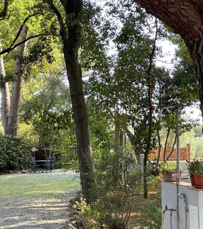 Agriturismo Podere Campalto Campiglia Marittima Esterno foto