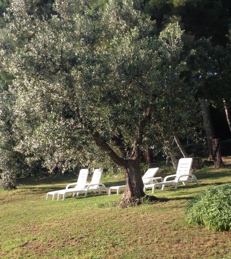 Agriturismo Podere Campalto Campiglia Marittima Esterno foto