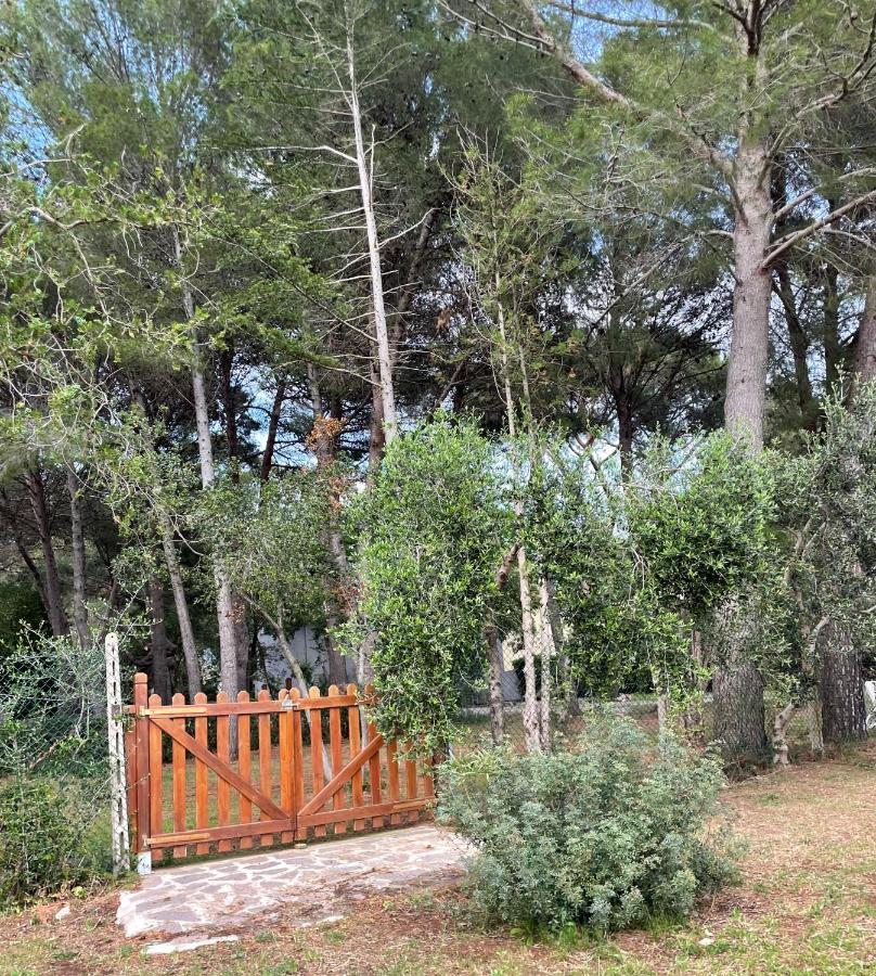 Agriturismo Podere Campalto Campiglia Marittima Esterno foto