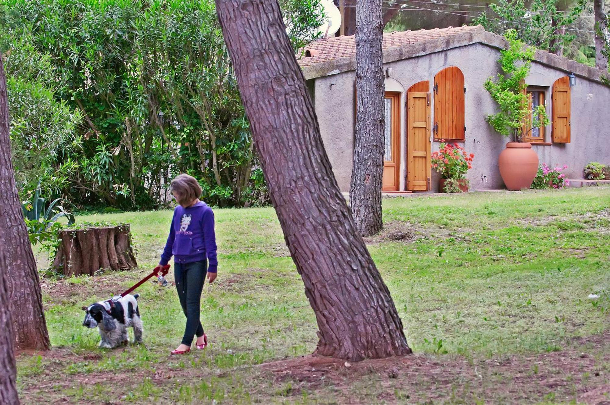 Agriturismo Podere Campalto Campiglia Marittima Camera foto