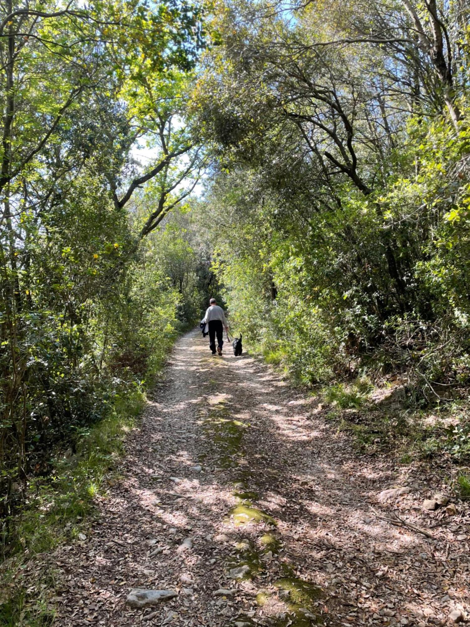 Agriturismo Podere Campalto Campiglia Marittima Esterno foto