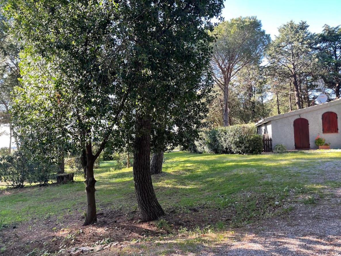 Agriturismo Podere Campalto Campiglia Marittima Esterno foto