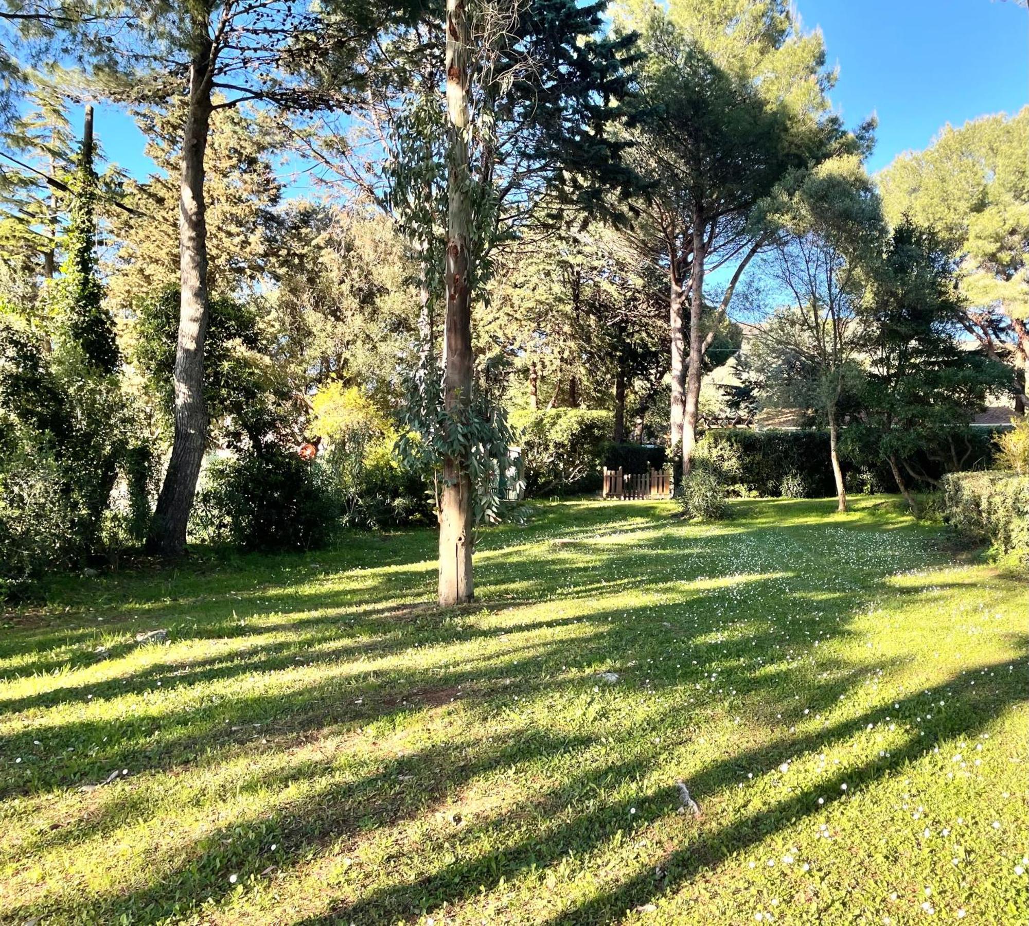 Agriturismo Podere Campalto Campiglia Marittima Esterno foto