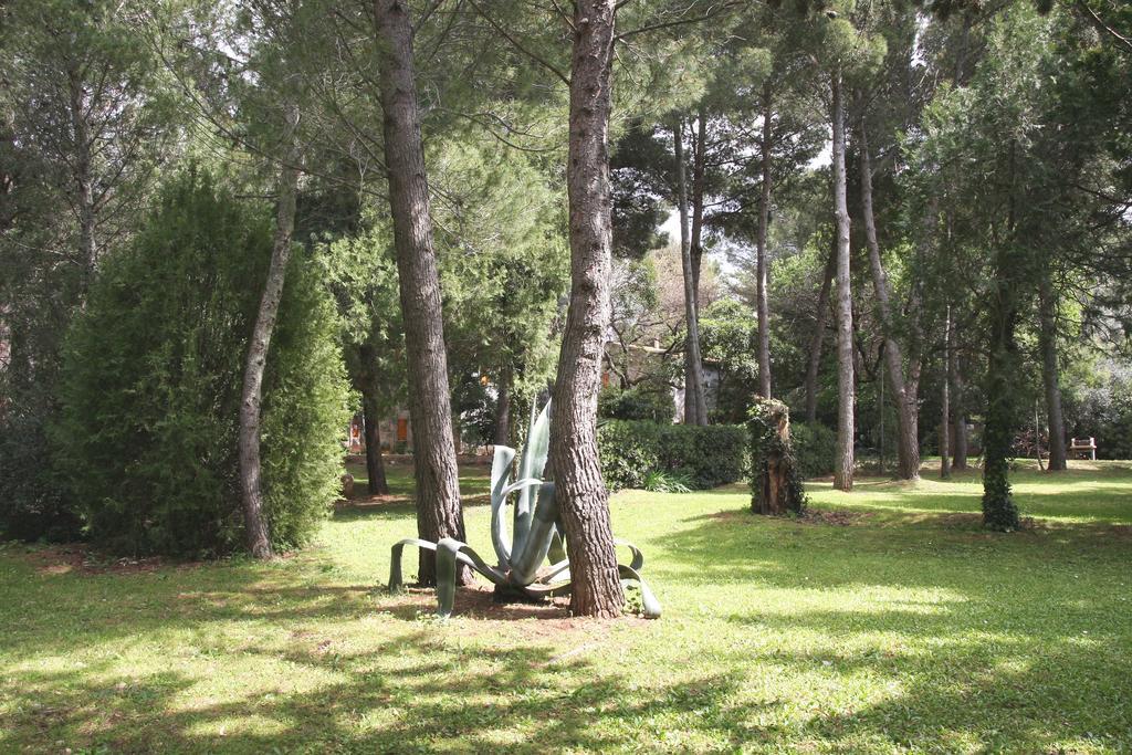 Agriturismo Podere Campalto Campiglia Marittima Esterno foto