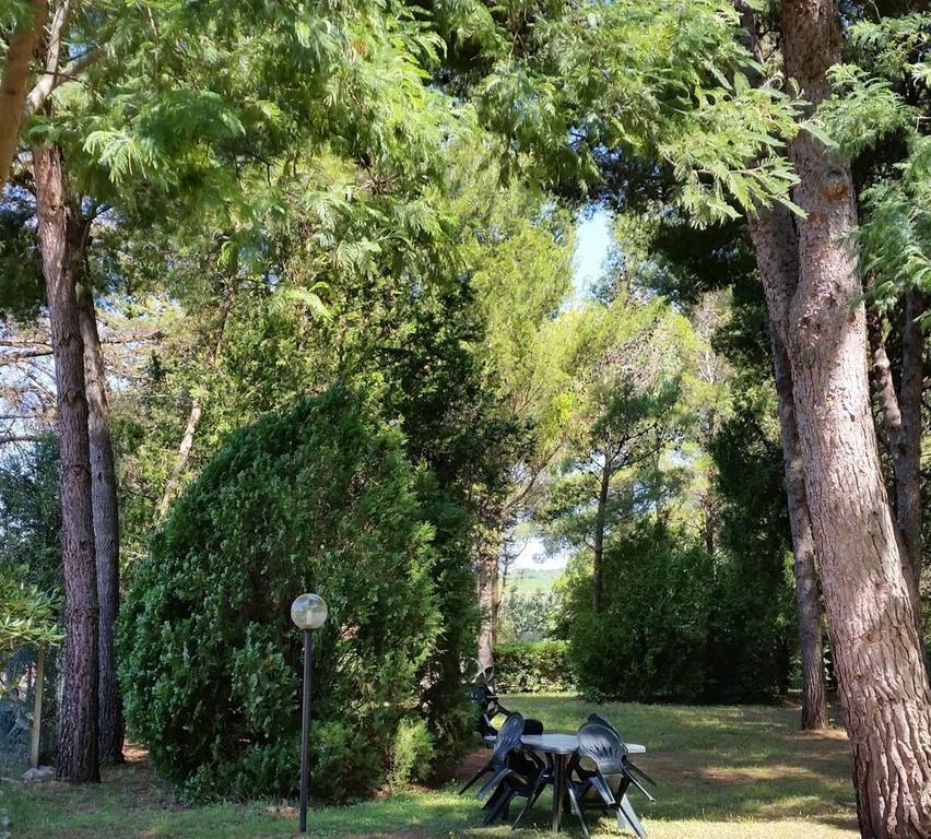 Agriturismo Podere Campalto Campiglia Marittima Esterno foto