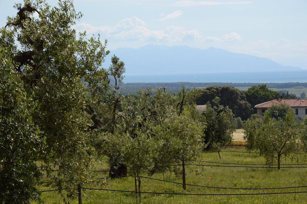Agriturismo Podere Campalto Campiglia Marittima Esterno foto