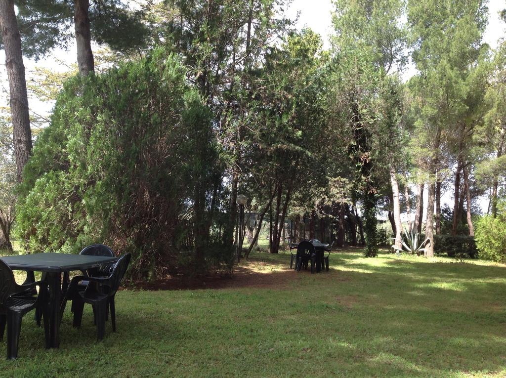 Agriturismo Podere Campalto Campiglia Marittima Esterno foto