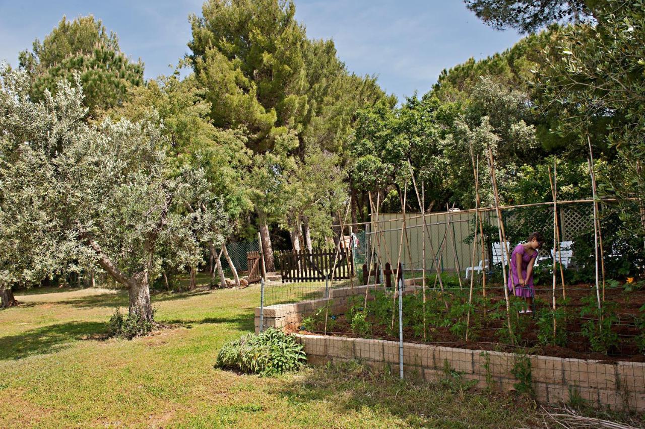 Agriturismo Podere Campalto Campiglia Marittima Esterno foto