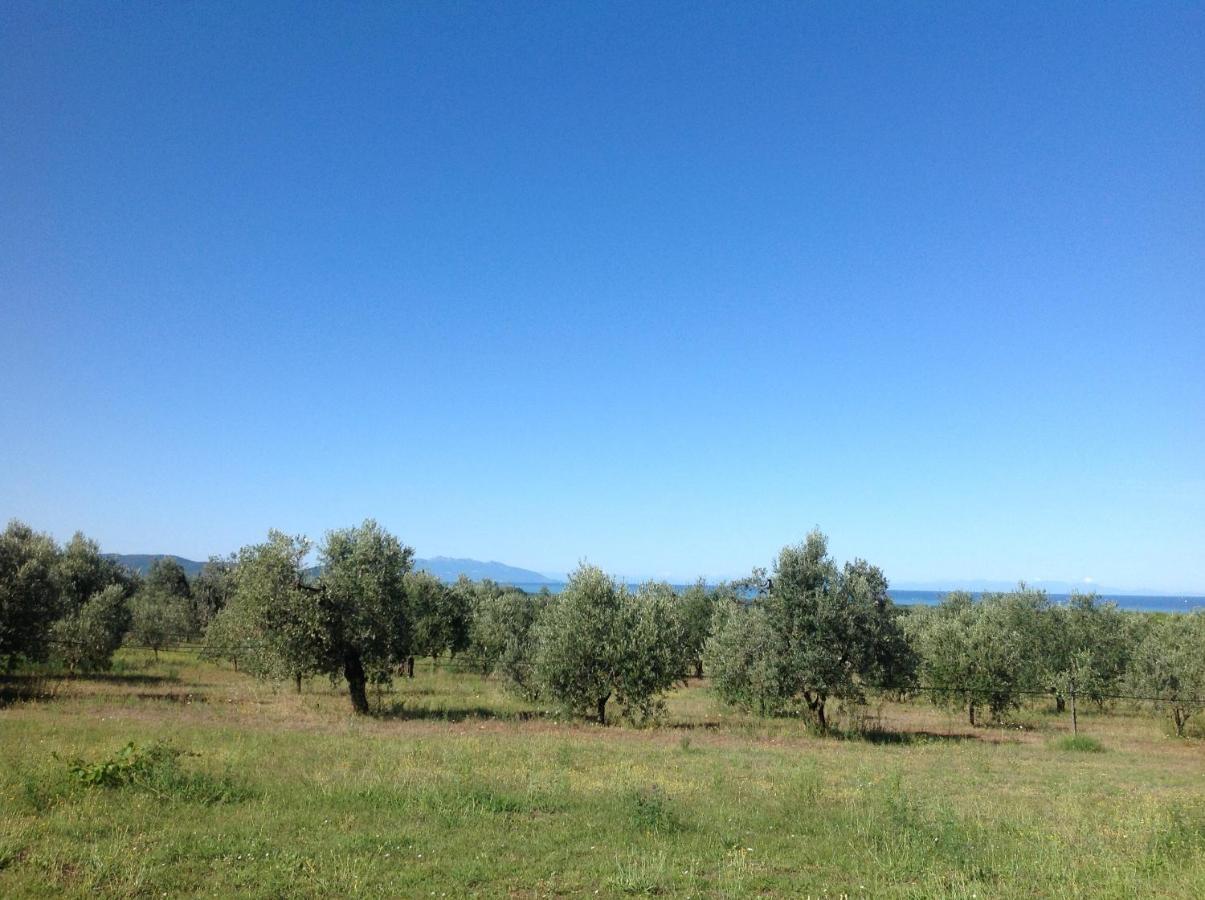 Agriturismo Podere Campalto Campiglia Marittima Esterno foto