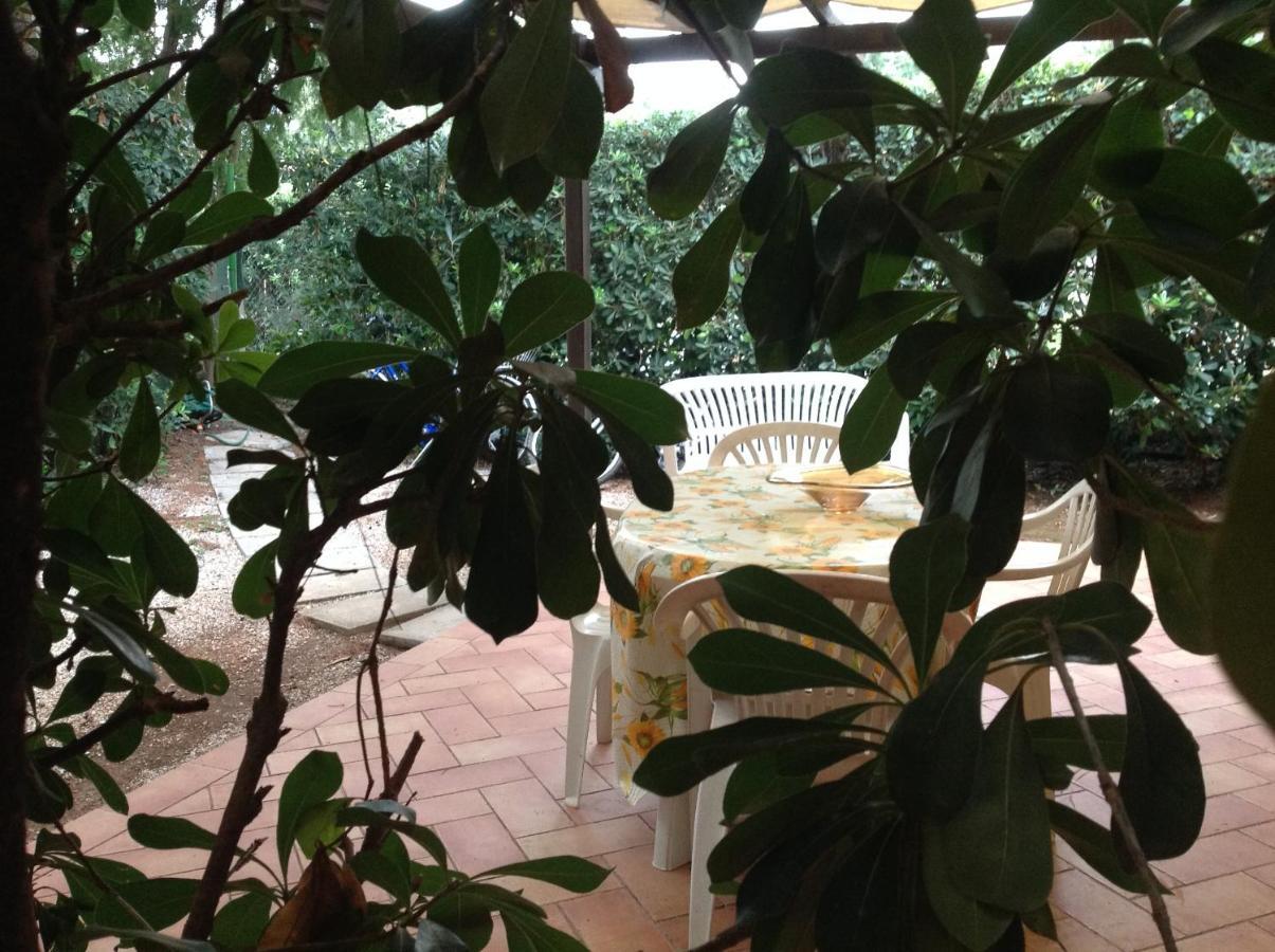 Agriturismo Podere Campalto Campiglia Marittima Esterno foto